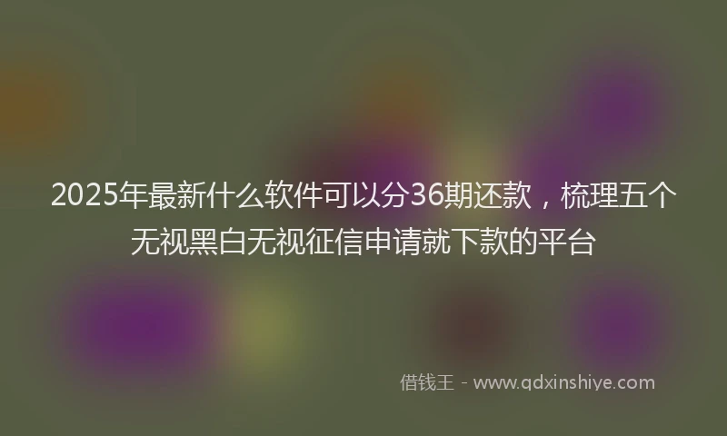 2025年最新什么软件可以分36期还款，梳理五个无视黑白无视征信申请就下款的平台