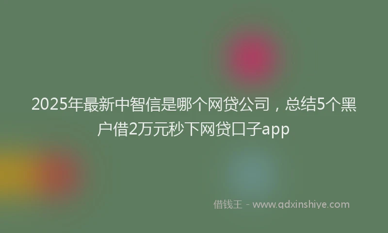 2025年最新中智信是哪个网贷公司，总结5个黑户借2万元秒下网贷口子app