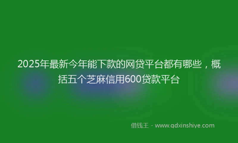 2025年最新今年能下款的网贷平台都有哪些，概括五个芝麻信用600贷款平台