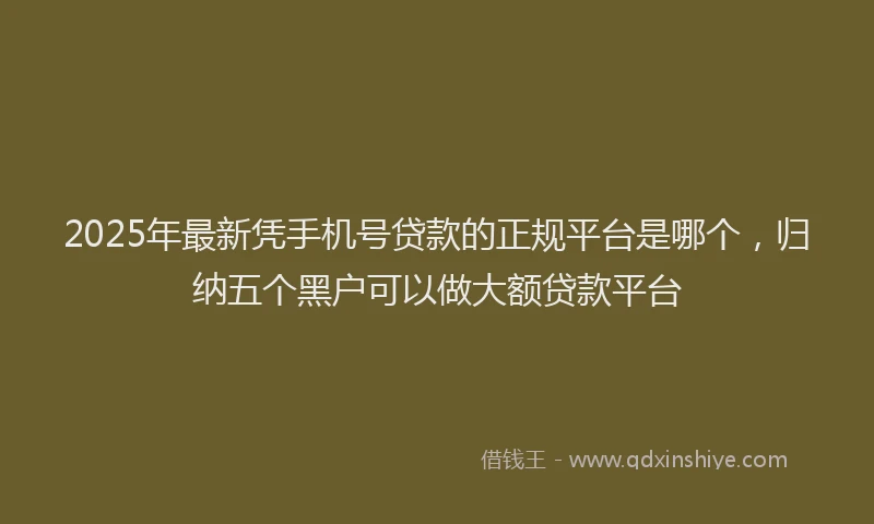 2025年最新凭手机号贷款的正规平台是哪个，归纳五个黑户可以做大额贷款平台