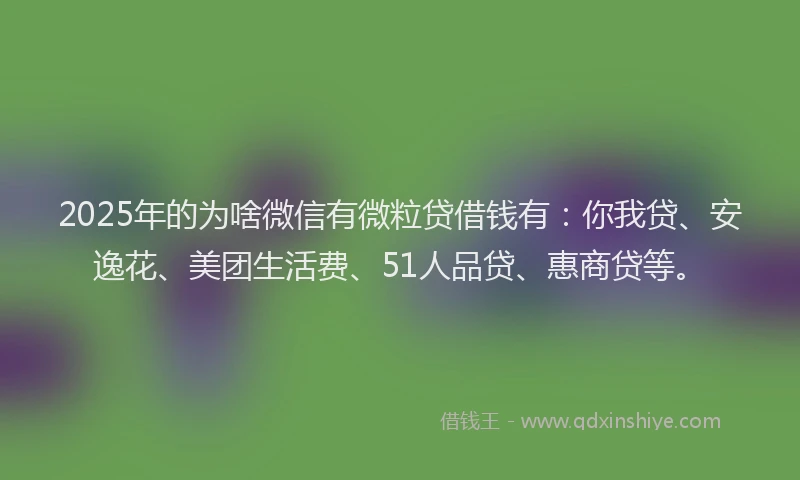 2025年的为啥微信有微粒贷借钱有：你我贷、安逸花、美团生活费、51人品贷、惠商贷等。
