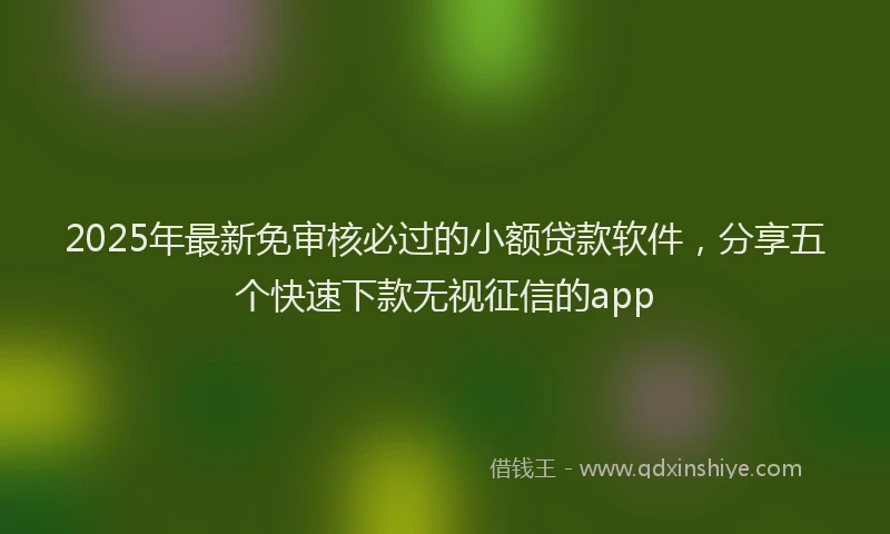 2025年最新免审核必过的小额贷款软件，分享五个快速下款无视征信的app