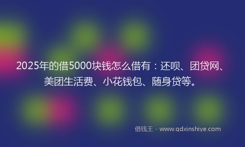 2025年的借5000块钱怎么借有：还呗、团贷网、美团生活费、小花钱包、随身贷等。