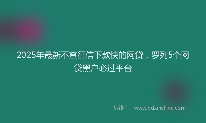 2025年最新不查征信下款快的网贷，罗列5个网贷黑户必过平台