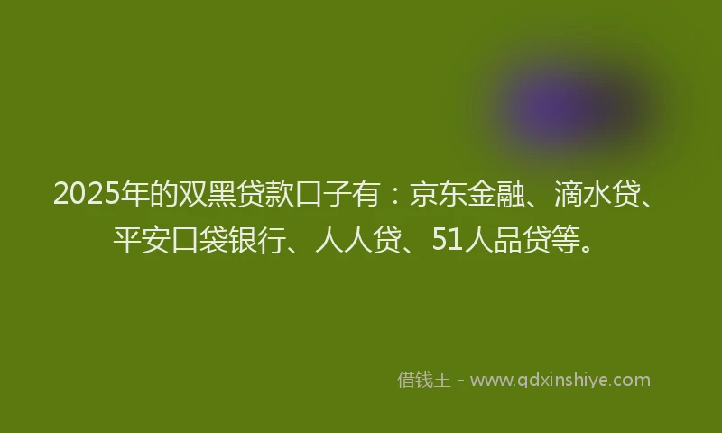 2025年的双黑贷款口子有：京东金融、滴水贷、平安口袋银行、人人贷、51人品贷等。