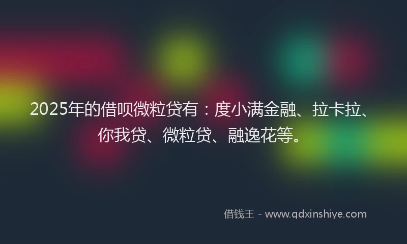 2025年的借呗微粒贷有：度小满金融、拉卡拉、你我贷、微粒贷、融逸花等。