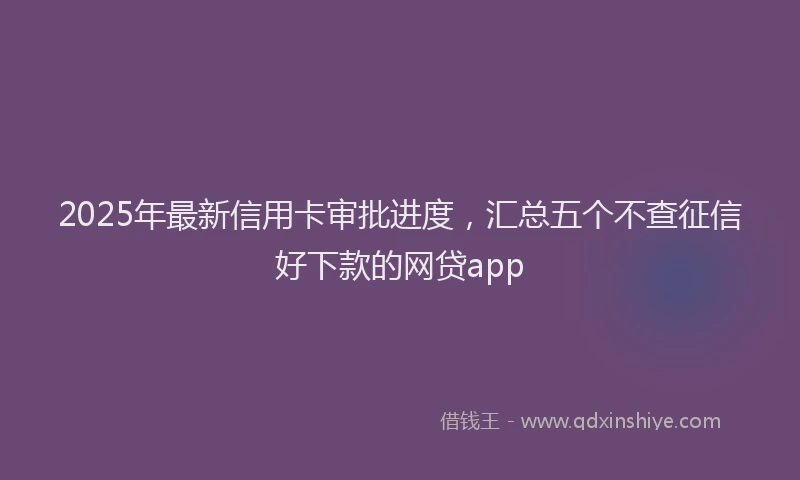 2025年最新信用卡审批进度，汇总五个不查征信好下款的网贷app