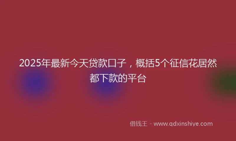 2025年最新今天贷款口子，概括5个征信花居然都下款的平台