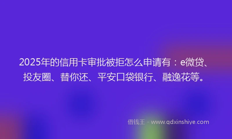 2025年的信用卡审批被拒怎么申请有：e微贷、投友圈、替你还、平安口袋银行、融逸花等。