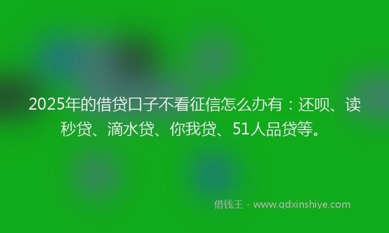 2025年的借贷口子不看征信怎么办有：还呗、读秒贷、滴水贷、你我贷、51人品贷等。