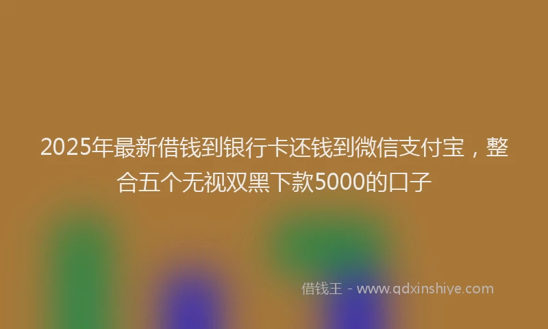 2025年最新借钱到银行卡还钱到微信支付宝，整合五个无视双黑下款5000的口子