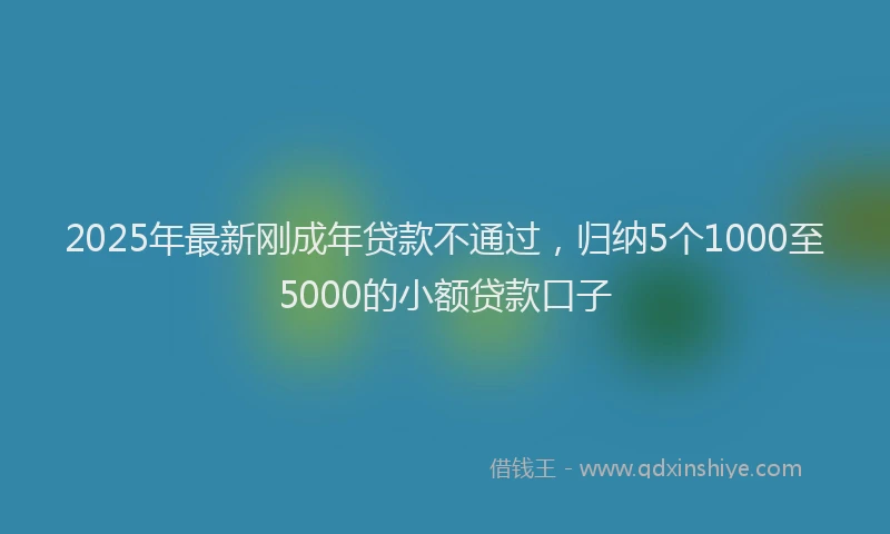 2025年最新刚成年贷款不通过，归纳5个1000至5000的小额贷款口子