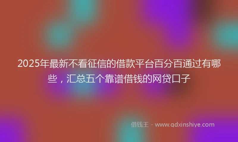 2025年最新不看征信的借款平台百分百通过有哪些，汇总五个靠谱借钱的网贷口子