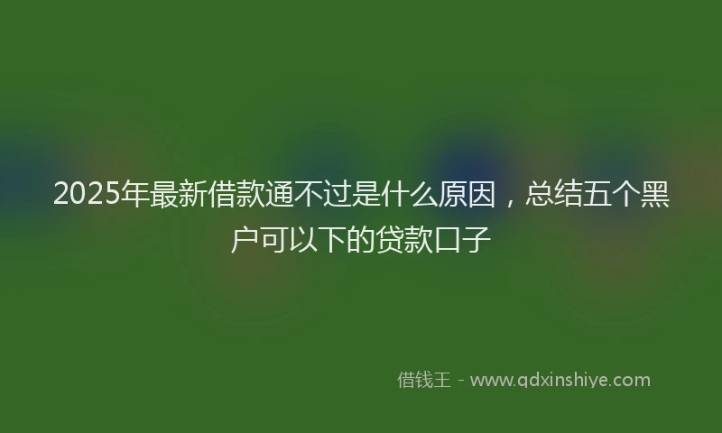 2025年最新借款通不过是什么原因，总结五个黑户可以下的贷款口子