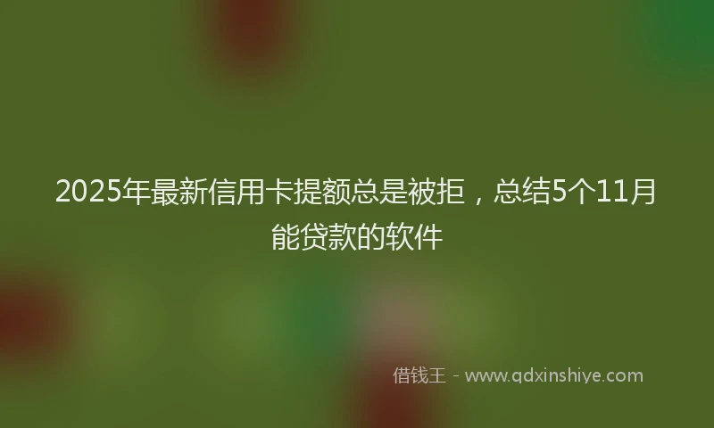 2025年最新信用卡提额总是被拒，总结5个11月能贷款的软件