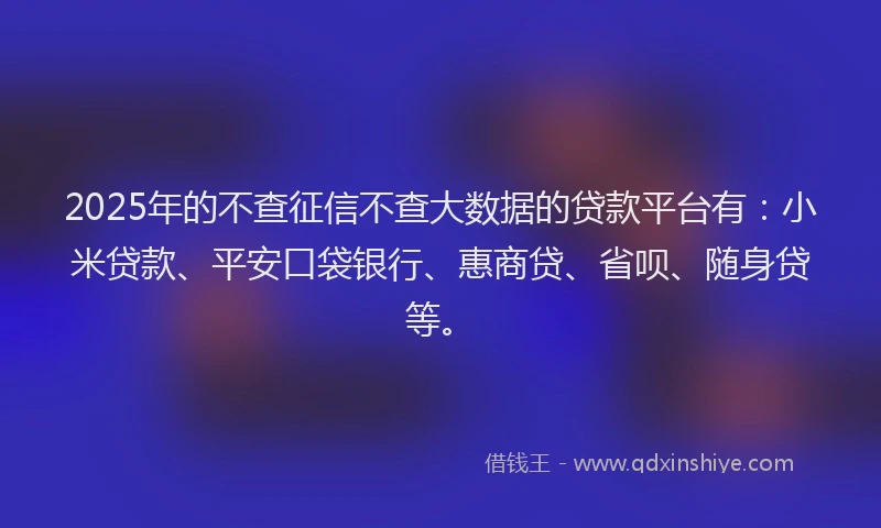 2025年的不查征信不查大数据的贷款平台有：小米贷款、平安口袋银行、惠商贷、省呗、随身贷等。