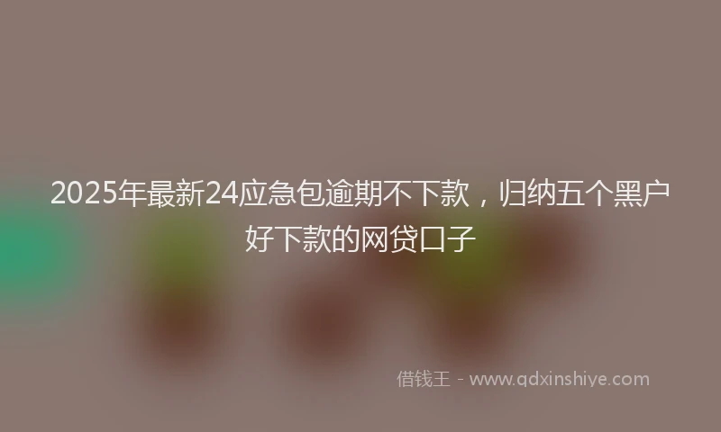 2025年最新24应急包逾期不下款，归纳五个黑户好下款的网贷口子
