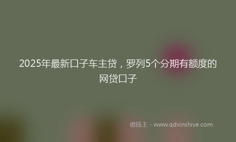 2025年最新口子车主贷，罗列5个分期有额度的网贷口子