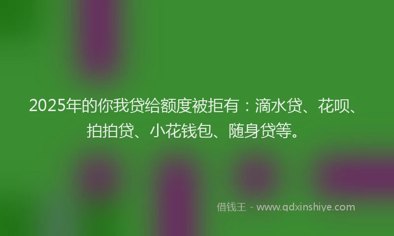 2025年的你我贷给额度被拒有：滴水贷、花呗、拍拍贷、小花钱包、随身贷等。