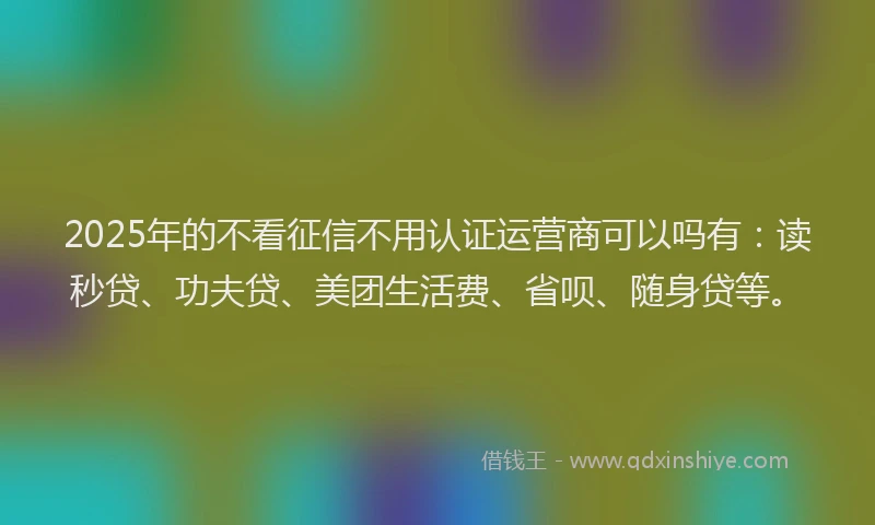 2025年的不看征信不用认证运营商可以吗有：读秒贷、功夫贷、美团生活费、省呗、随身贷等。