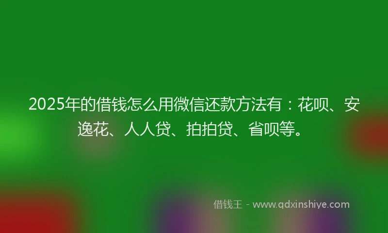2025年的借钱怎么用微信还款方法有：花呗、安逸花、人人贷、拍拍贷、省呗等。