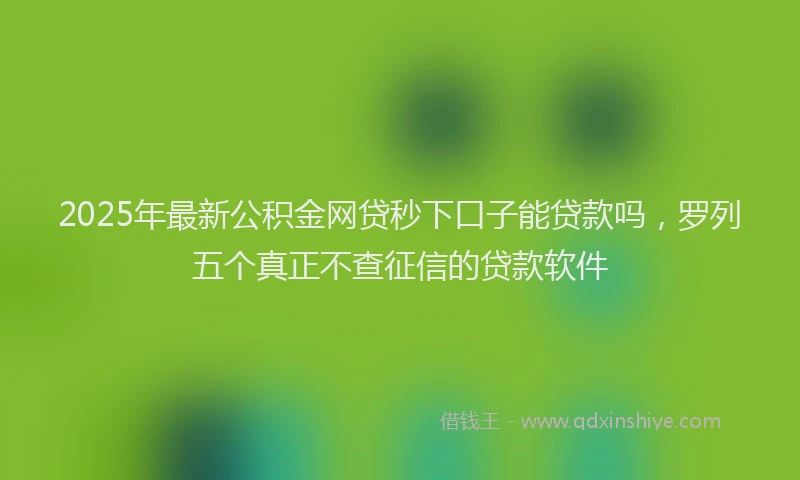 2025年最新公积金网贷秒下口子能贷款吗，罗列五个真正不查征信的贷款软件