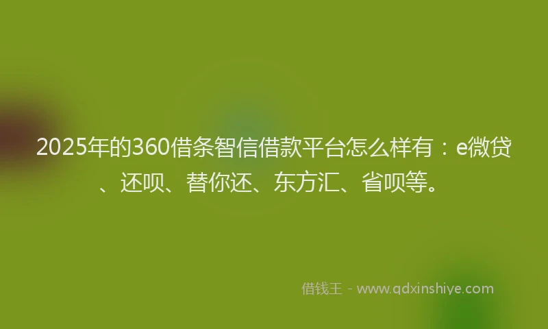 2025年的360借条智信借款平台怎么样有：e微贷、还呗、替你还、东方汇、省呗等。