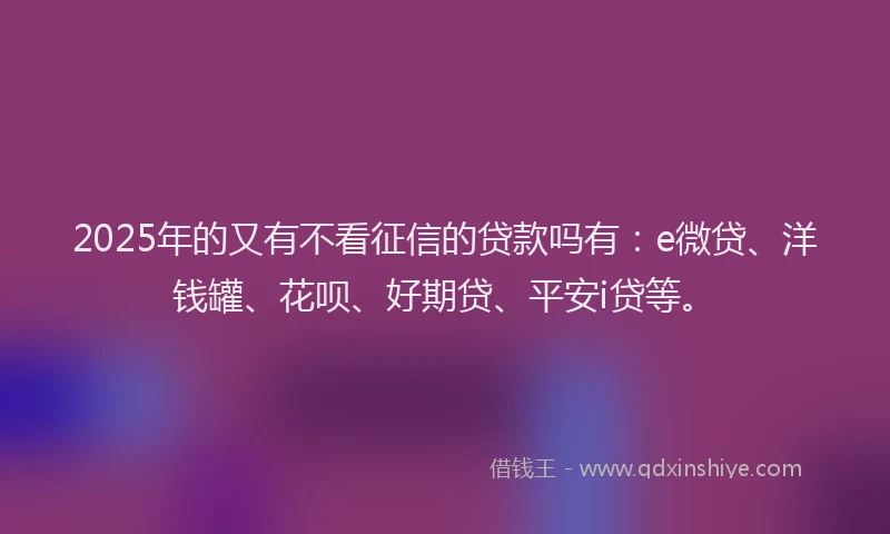 2025年的又有不看征信的贷款吗有：e微贷、洋钱罐、花呗、好期贷、平安i贷等。
