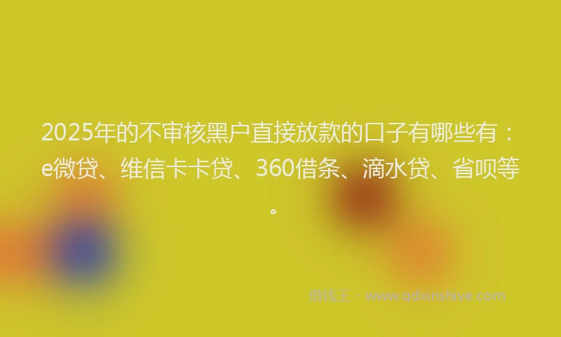 2025年的不审核黑户直接放款的口子有哪些有：e微贷、维信卡卡贷、360借条、滴水贷、省呗等。