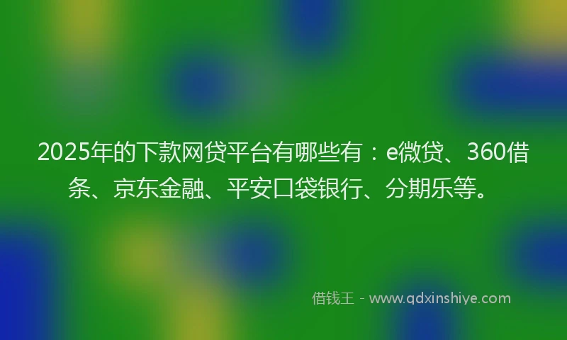 2025年的下款网贷平台有哪些有：e微贷、360借条、京东金融、平安口袋银行、分期乐等。