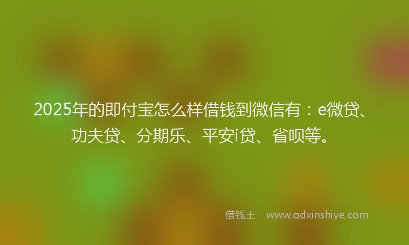 2025年的即付宝怎么样借钱到微信有：e微贷、功夫贷、分期乐、平安i贷、省呗等。