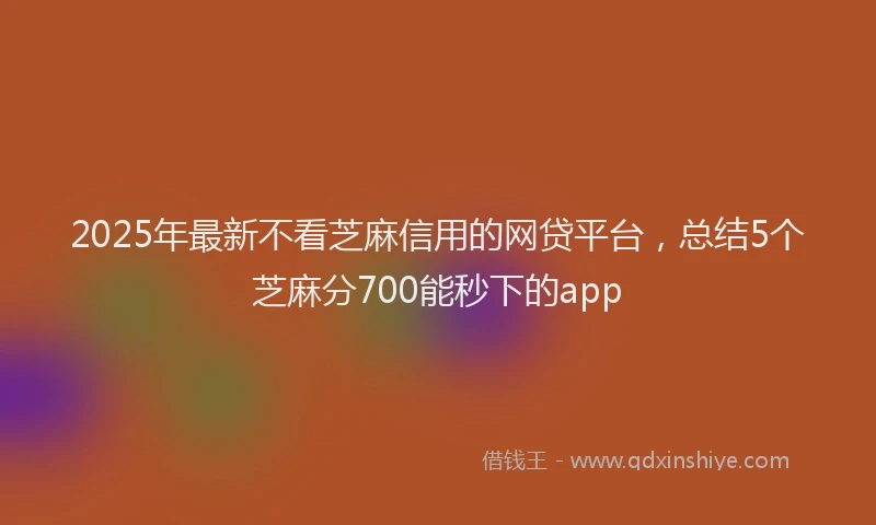 2025年最新不看芝麻信用的网贷平台，总结5个芝麻分700能秒下的app