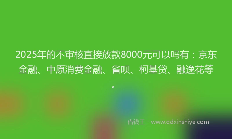 2025年的不审核直接放款8000元可以吗有：京东金融、中原消费金融、省呗、柯基贷、融逸花等。