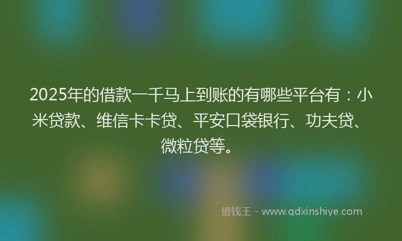 2025年的借款一千马上到账的有哪些平台有：小米贷款、维信卡卡贷、平安口袋银行、功夫贷、微粒贷等。