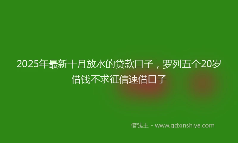 2025年最新十月放水的贷款口子，罗列五个20岁借钱不求征信速借口子