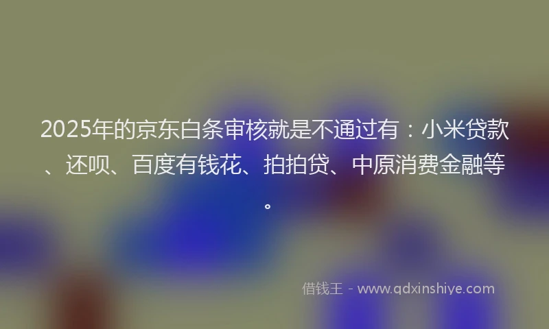 2025年的京东白条审核就是不通过有：小米贷款、还呗、百度有钱花、拍拍贷、中原消费金融等。