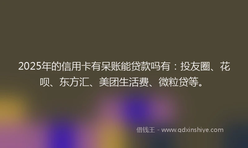 2025年的信用卡有呆账能贷款吗有：投友圈、花呗、东方汇、美团生活费、微粒贷等。