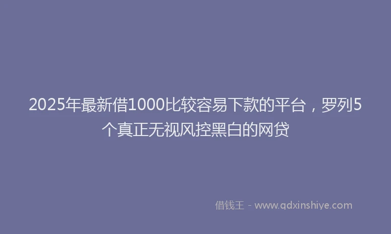 2025年最新借1000比较容易下款的平台，罗列5个真正无视风控黑白的网贷
