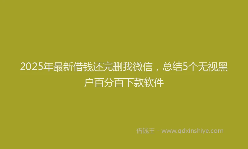 2025年最新借钱还完删我微信，总结5个无视黑户百分百下款软件