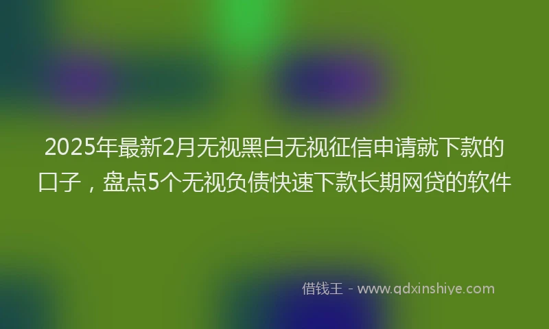 2025年最新2月无视黑白无视征信申请就下款的口子，盘点5个无视负债快速下款长期网贷的软件