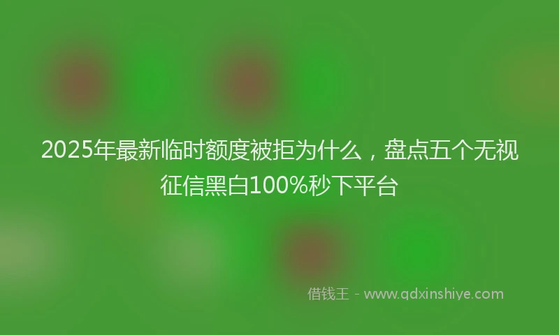 2025年最新临时额度被拒为什么，盘点五个无视征信黑白100%秒下平台