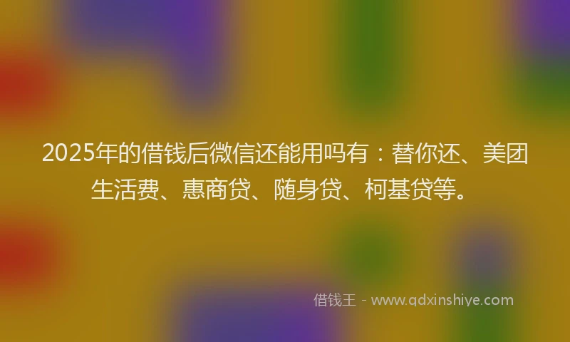 2025年的借钱后微信还能用吗有：替你还、美团生活费、惠商贷、随身贷、柯基贷等。
