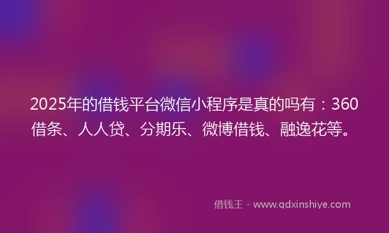 2025年的借钱平台微信小程序是真的吗有：360借条、人人贷、分期乐、微博借钱、融逸花等。