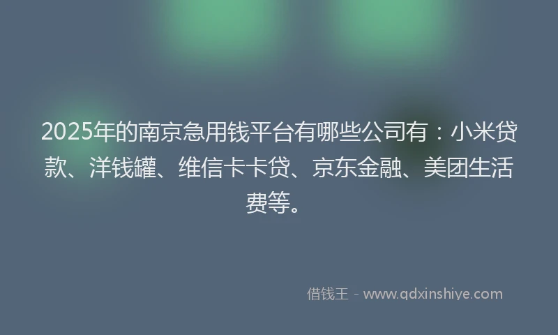 2025年的南京急用钱平台有哪些公司有：小米贷款、洋钱罐、维信卡卡贷、京东金融、美团生活费等。