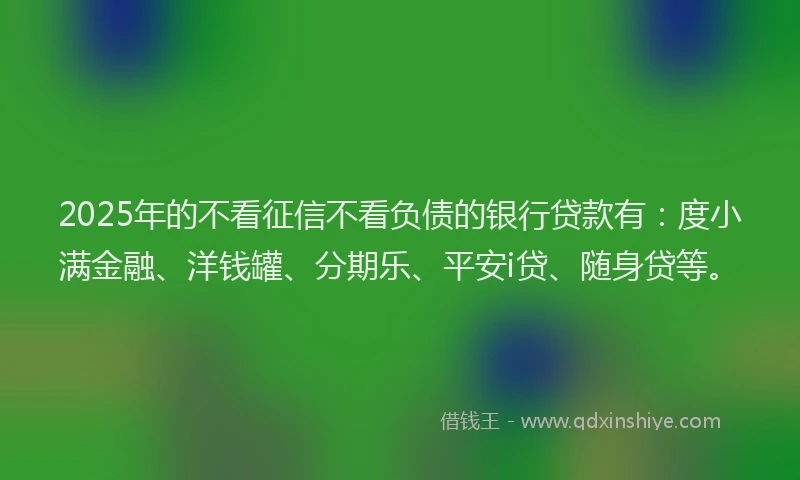2025年的不看征信不看负债的银行贷款有：度小满金融、洋钱罐、分期乐、平安i贷、随身贷等。