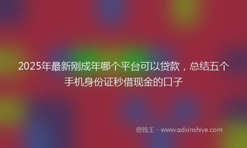 2025年最新刚成年哪个平台可以贷款，总结五个手机身份证秒借现金的口子