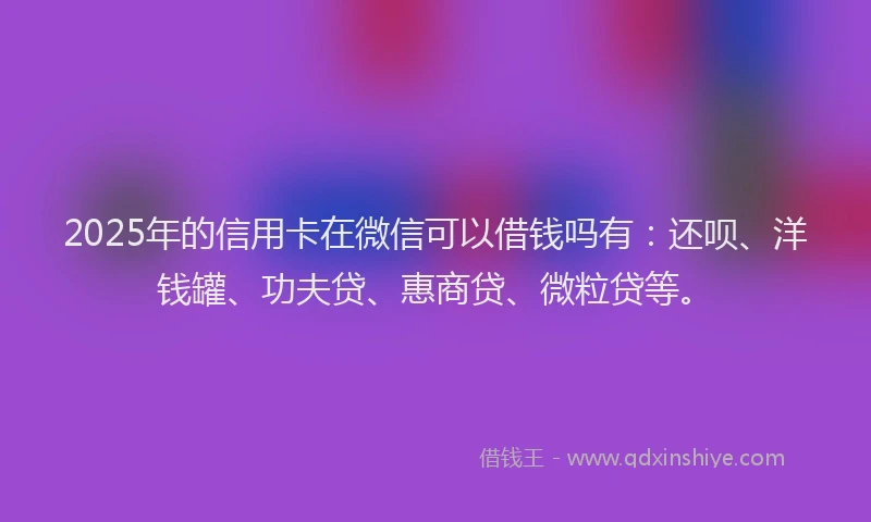 2025年的信用卡在微信可以借钱吗有：还呗、洋钱罐、功夫贷、惠商贷、微粒贷等。