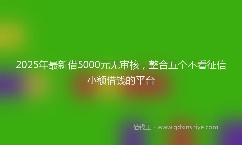 2025年最新借5000元无审核，整合五个不看征信小额借钱的平台