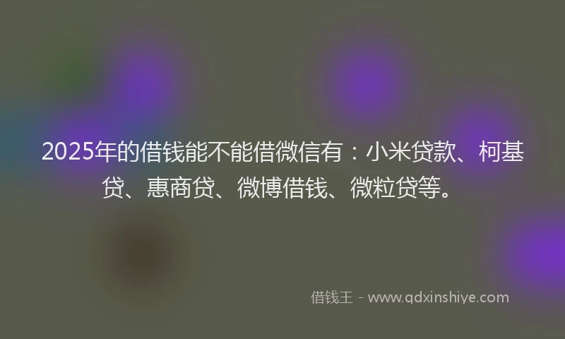 2025年的借钱能不能借微信有：小米贷款、柯基贷、惠商贷、微博借钱、微粒贷等。