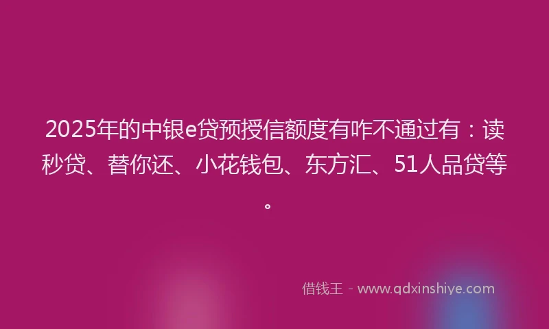 2025年的中银e贷预授信额度有咋不通过有：读秒贷、替你还、小花钱包、东方汇、51人品贷等。